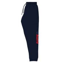 Load image into Gallery viewer, &quot;America&quot; Unisex Joggers
